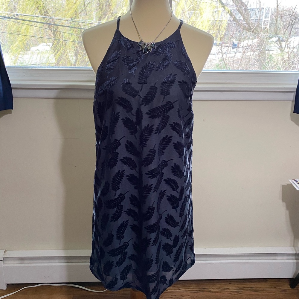 Lined velvet burnout dress